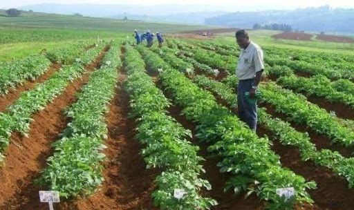 Young, smart and getting it - Abuja entrepreneurs whose stories motivate