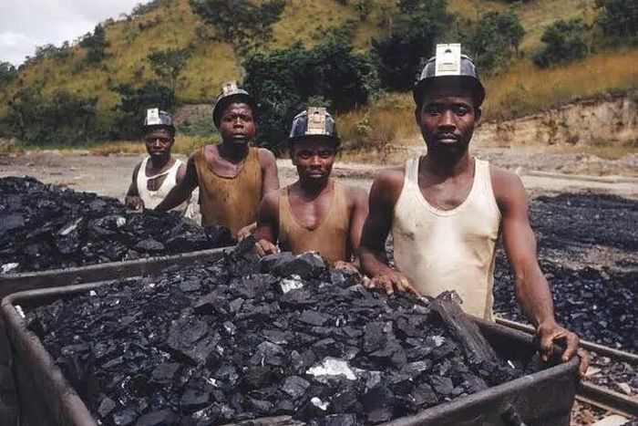 The forest is paying, but Nigeria isn’t collecting