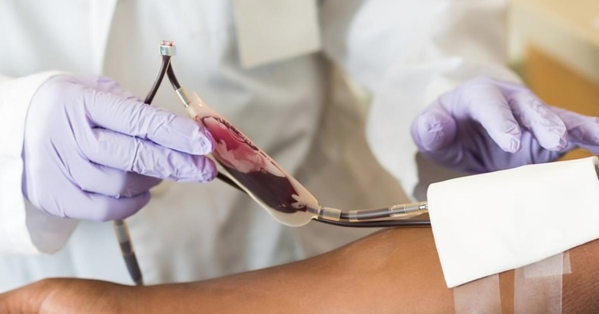Jehovah's Witnesses members can now decide whether to give or receive blood