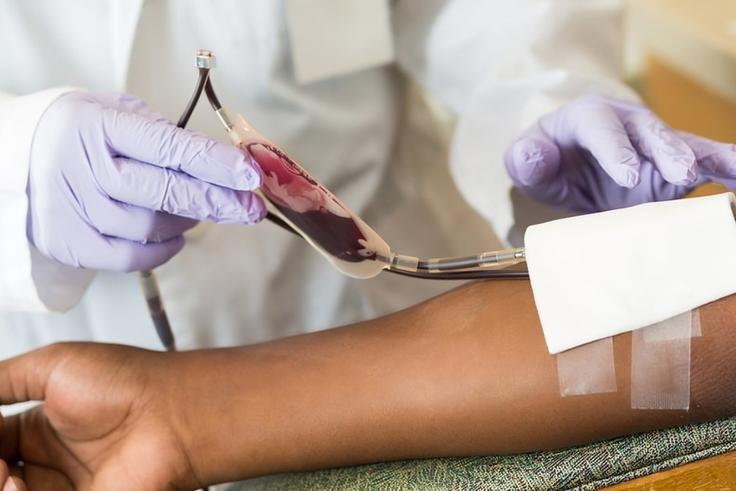 Jehovah's Witnesses members can now decide whether to give or receive blood
