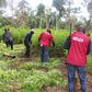 NDLEA uncovers 6-hectare hemp farm, arrests 675 drug offenders in Ogun