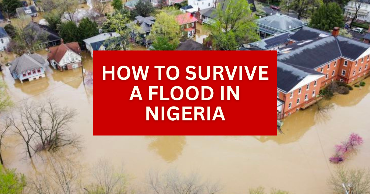 Flood alert in Nigeria: 5 smart ways to survive a flood
