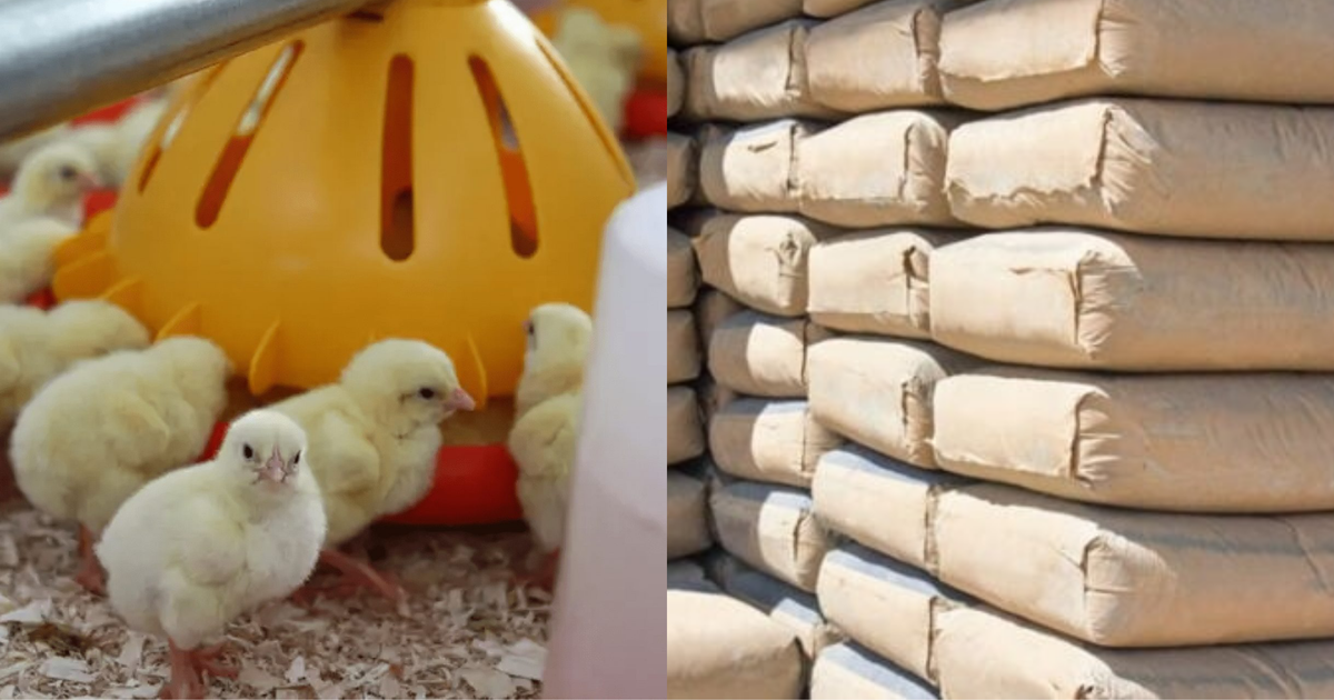 Federal Government bans poultry, cement, medicine imports, introduces 2% green tax