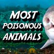 7 animals that use poison in the most horrifying ways