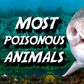 7 animals that use poison in the most horrifying ways