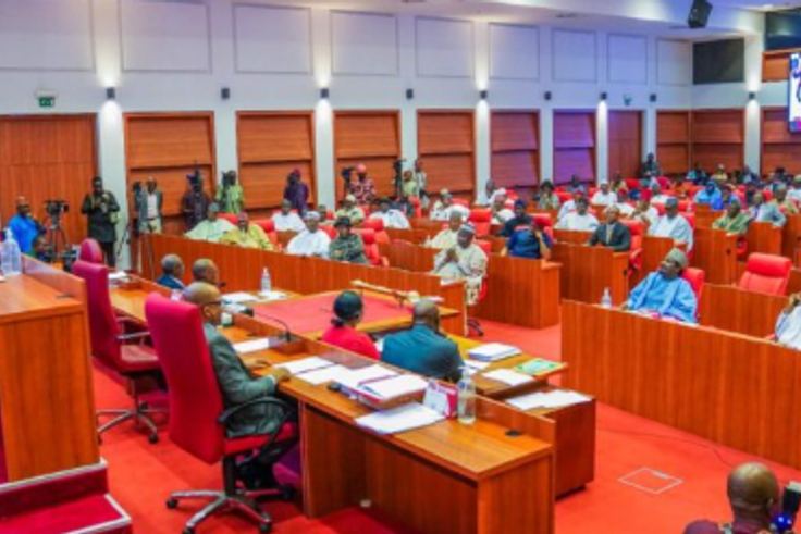 Senate invokes constitution to remove CCT Chairman over fight with lady