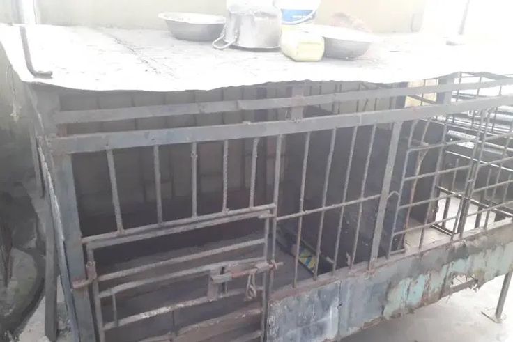 Man assaults, locks 17-year-old boy in dog cage for visiting his daughter