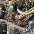 The shocking truth about Nigerian herbal remedies - helpful or harmful?