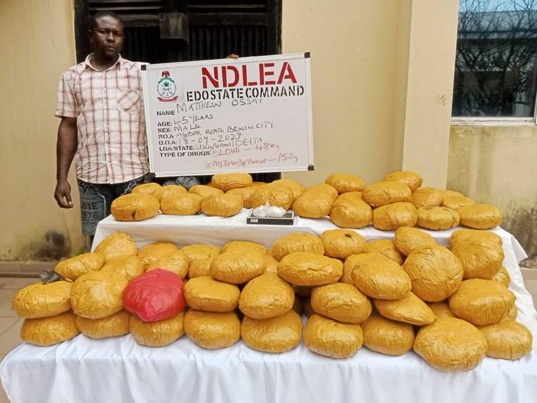 NDLEA Edo State Command exhibits a suspect, Matthew Ossai, and a cannabis seizure.