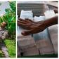 Millions of girls struggle with period poverty, but two Nigerians turn banana waste into cheap sanitary pads