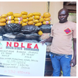 Fake police, mechanic arrested as NDLEA seizes 1.3m tramadol pills, 6,000kg cannabis worth ₦ 3.4bn