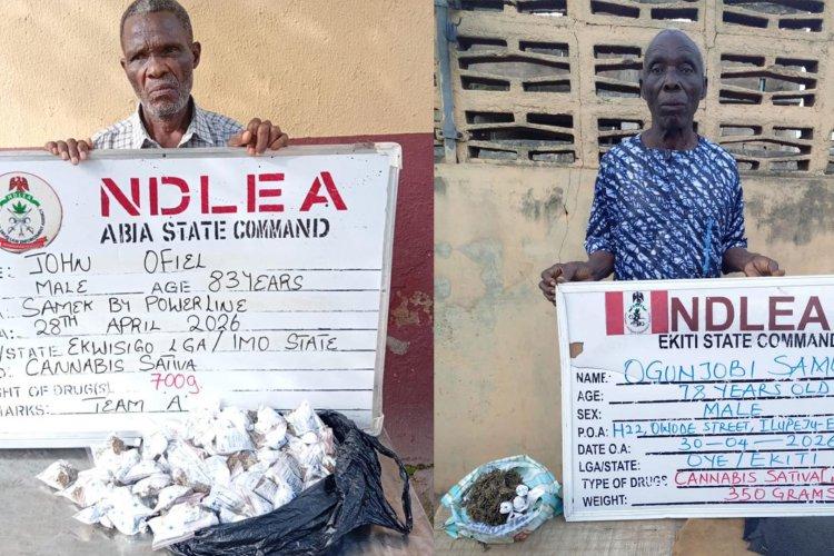 83-year-old grandfather, Pa John Ofiel and a 78-year-old grandpa, Ogunjobi Samuel, arrested by NDLEA for drug trafficking.