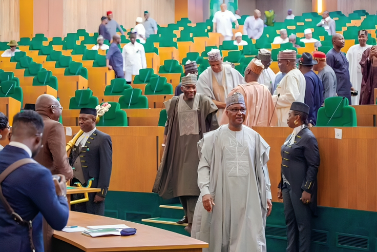 Reps make final call on bill seeking 6-year single tenure for President, Governors