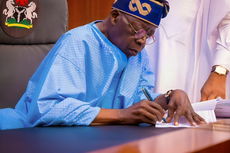 Tinubu sacks FUHSO pro-chancellor, chairman of council