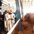 Minister of Livestock Development, Alhaji Idi Mukhtar Maiha