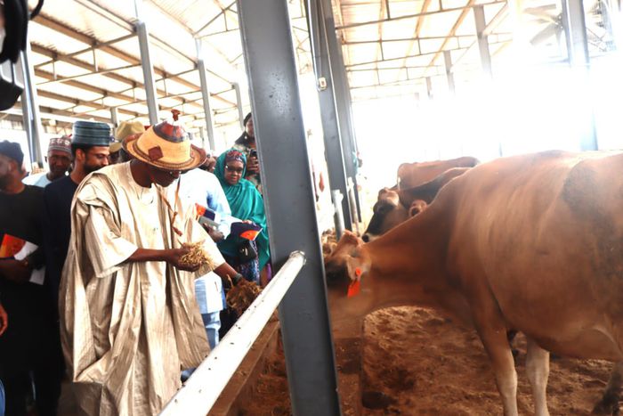 Minister of Livestock Development, Alhaji Idi Mukhtar Maiha