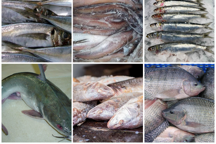 6 low calorie fishes for weight loss