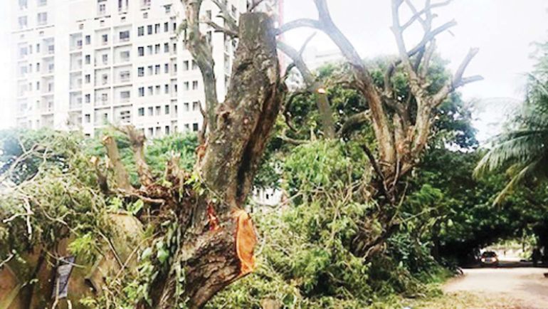 why-you-dont-have-light-when-it-rains