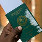 FULL LIST: Your Nigerian passport gives you access to these 45 countries