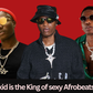 Ayra Starr calls Wizkid the King of sexy Afrobeats: Here's why we agree