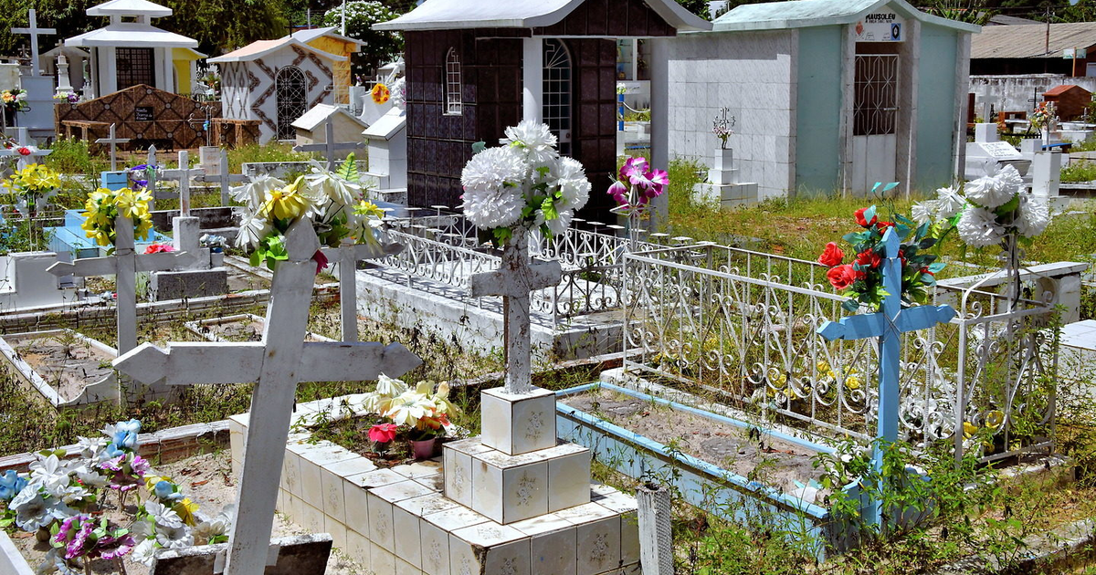 Man Dies After Falling Into His Father's Grave in Brazil | Pulse Nigeria