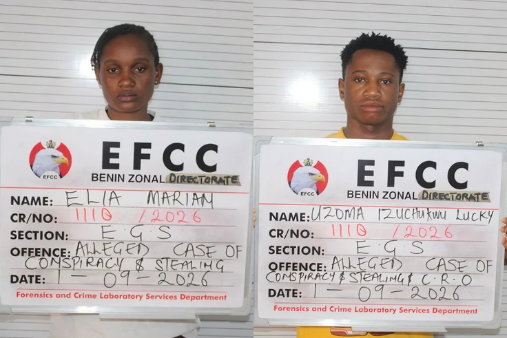 19-year-old girl steals ₦35.92 million from the woman who raised her, transfers it to her boyfriend before being caught