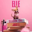 Legally Blonde Prequel Series Elle Is Back — This Is All We Know