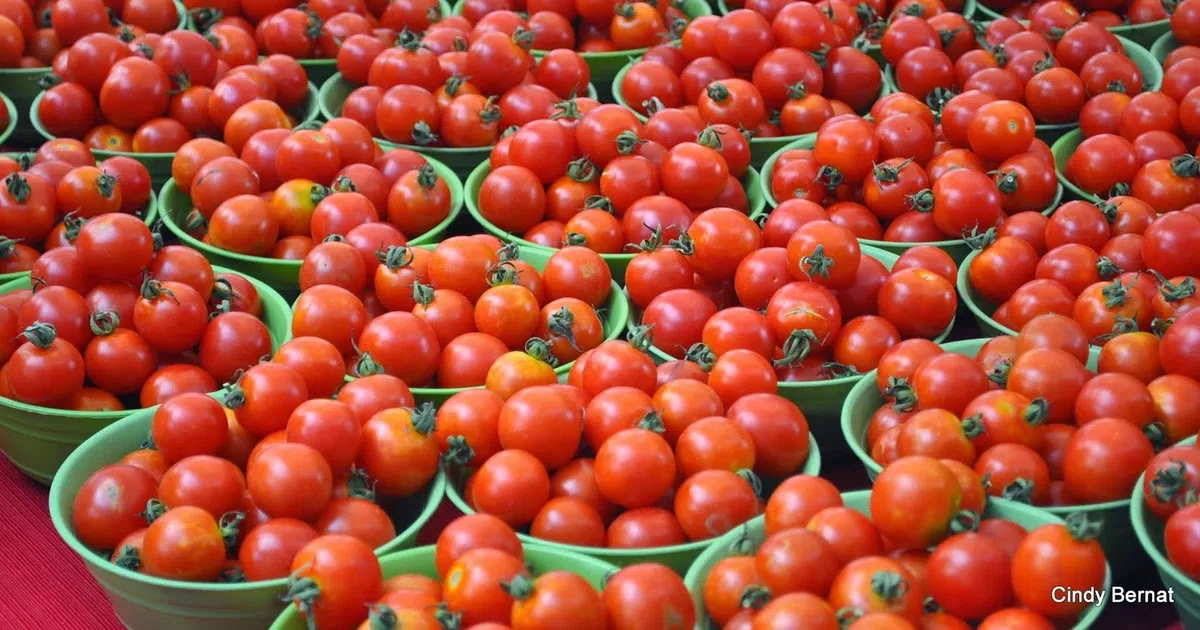 Why does Nigeria import $400 million worth of tomato paste annually when we produce millions of tonnes of tomatoes locally?