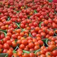 Why does Nigeria import $400 million worth of tomato paste annually when we produce millions of tonnes of tomatoes locally?
