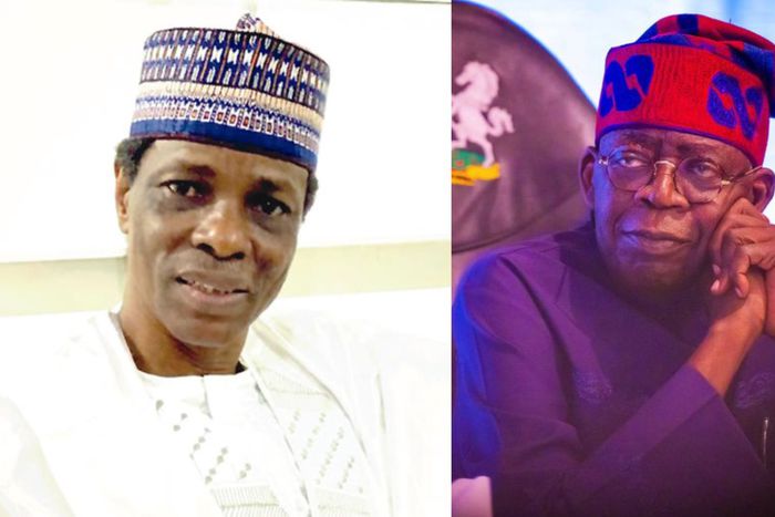 Northerners have nothing against Tinubu - Ex-President's cousin supports 2nd term