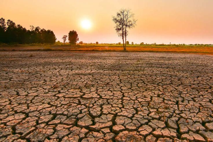 Nigeria faces risks of 31,400 extra heat deaths, food shortages and more: What to know about El Niño and how to protect yourself