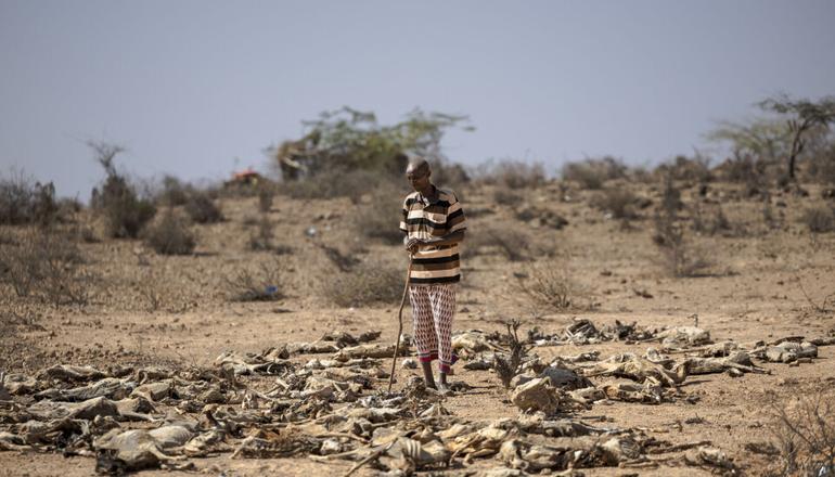 5 ways El Niño can affect Nigerians