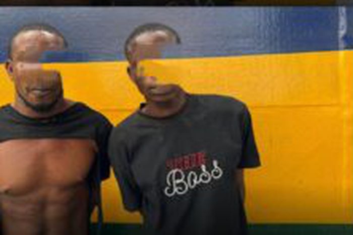 Police arrest 2 suspected kidnappers of AIG Odumosu's wife in Lagos