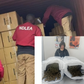 63-year-old Chinese Grandmother nabbed with 31kg of cannabis at Lagos airport