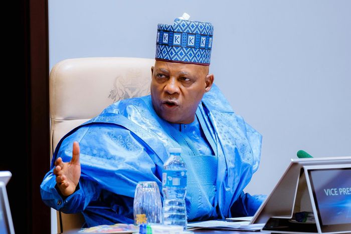 Vice President Kashim Shettima.  [Instagram:officialsksm]