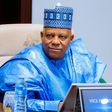 Vice President Kashim Shettima.  [Instagram:officialsksm]