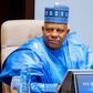 Vice President Kashim Shettima.  [Instagram:officialsksm]