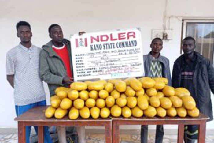 Drugs and suspects intercepted by the NDLEA operatives