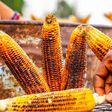 5 health benefits of eating corn