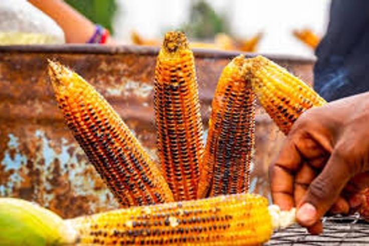 5 health benefits of eating corn