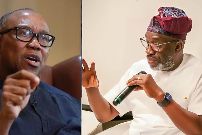 The coalition only wants to take advantage of your popularity - Sowunmi warns Obi