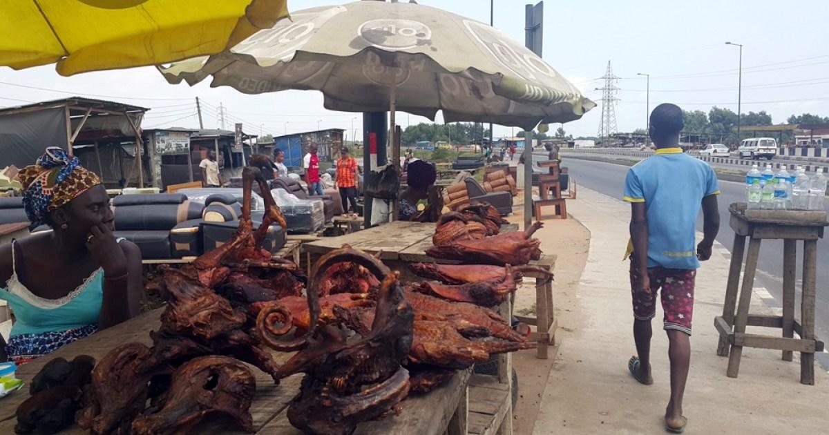 Doctors Warn Nigerians to Avoid Bush Meat as Ebola Kills 80 in DRC