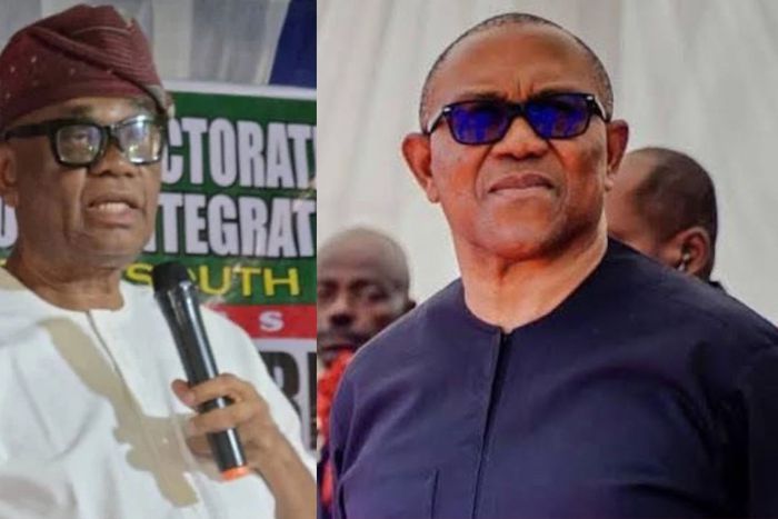 With Obi's support, my victory is guaranteed - Anambra South LP candidate