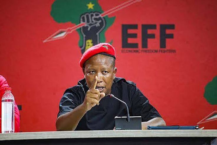 Julius Malema, South African opposition leader.
