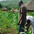 FG opens 18 agriculture jobs in Nigeria with salaries and contracts up for grabs