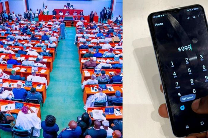 Young people are suffering - Senate orders probe of rising cost of data