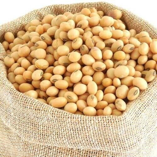 Soya Beans