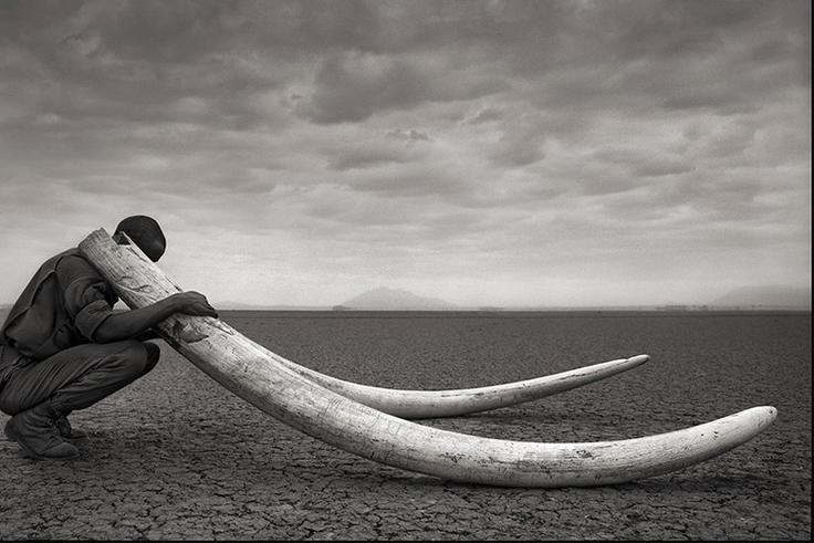 This mysterious lake turns animals into stone