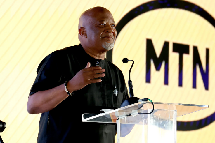 'South Africa is nothing without Africa' — MTN chairman blames politicians for rising xenophobia