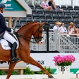 How riders in equestrian sports “read” a horse's mood at the start